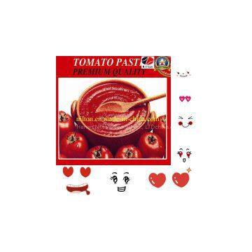 Good Taste Tomato Paste Ketchup photo-3