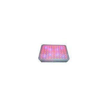 240W Red And Blue Flowering LED Grow Lights Ra 80 For Greenhouse