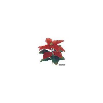 Sell Christmas Flower