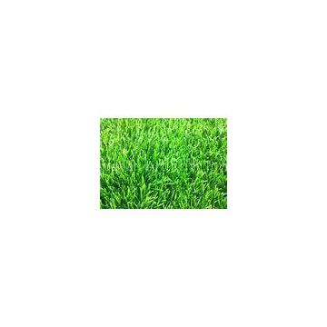 11000Dtex Natural Landscape Synthetic Grass Garden Playground Artificial Grass Weather Resistance