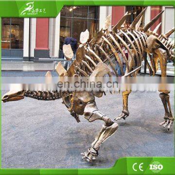 KAWAH Theme Museum Life Size Realistic Artificial Dino Skeleton photo-5