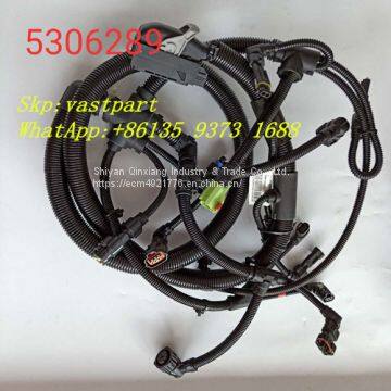 Cummins Foton Isf2.8 Isf3.8 Engine Ecm Wiring Harness 5267147 5306289 5306277