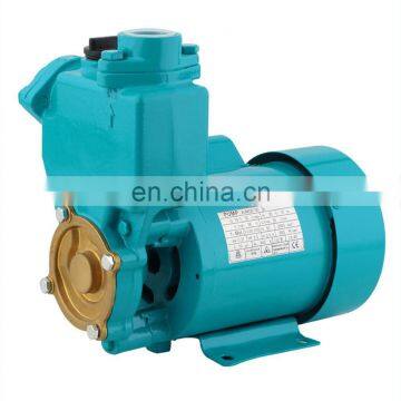 Small Self Priming Electric Water Pump for Domesitic Water Supply photo-2
