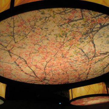 Uv Printed Soundproof Pvc Ceiling Membrane