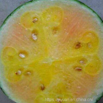 Watermelon F1 Hybrid Sweet Melon Seeds Fruit Seeds No.89 photo-2