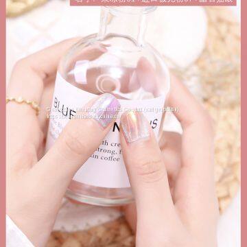 Easy To Cure And Soak Off Magnetic Gel Nail Polish Cat Eye Polish